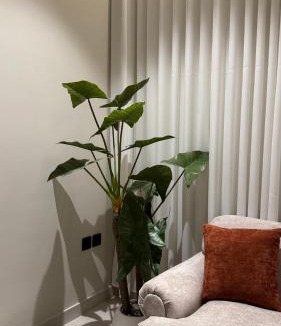 Tabuk Apartment | شقة وصالة وغرفة دخول ذاتي