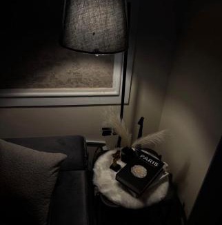 Al Wudayy Apartment | شقة غرفة استديو
