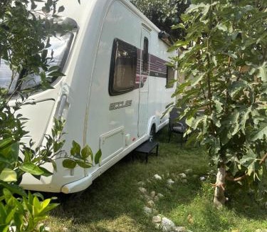 Tanomah Other | Campsites in Tanomah, Saudi Arabia