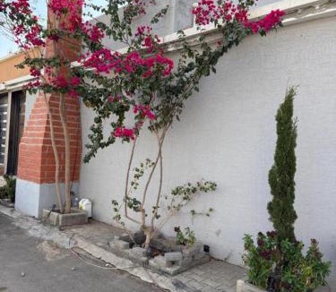 Taif Villa | فيلا