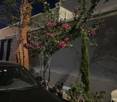 Taif Villa | فيلا