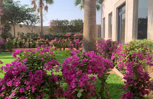 Ash Sharai Villa | فيلا المنزل