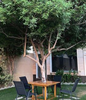 Al Wudayy Ski Chalet | شالية ديور الفندقي
