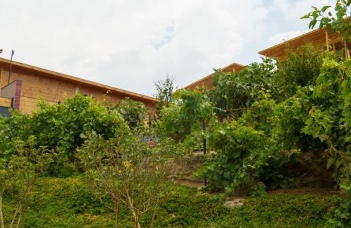 Abha Al Jadidah Resort | Wakan Farm Villas El Souda - مزرعة وكن الريفية - قرية شرمه