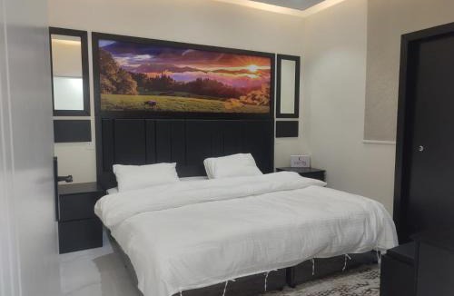 Buraydah Apartment | شقق الأفق