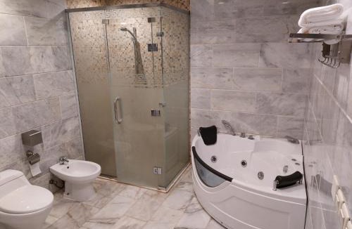 Buraydah Apartment | رميس للشقق المخدومة 2