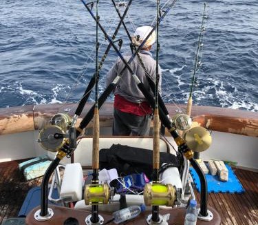 Durrat Al-Arous Boat Rental | Sharmaui