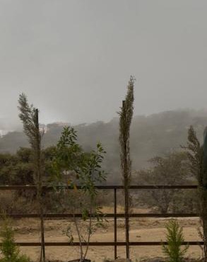 Al Badr Villas Resort
