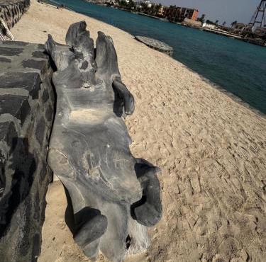 فيلا درة العروس على البحر المفتوح in Jeddah