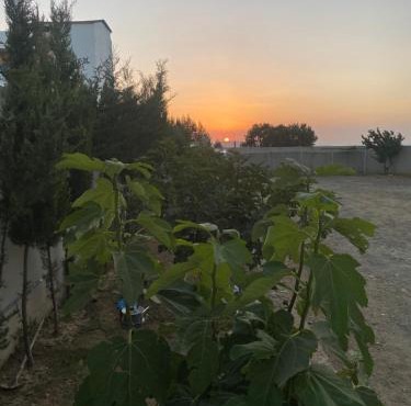 استراحة بتصميم تراثي