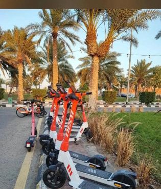 شالية موج 335