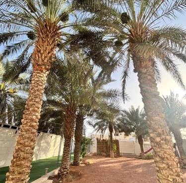 A big house -Isteraha- in Riyadh